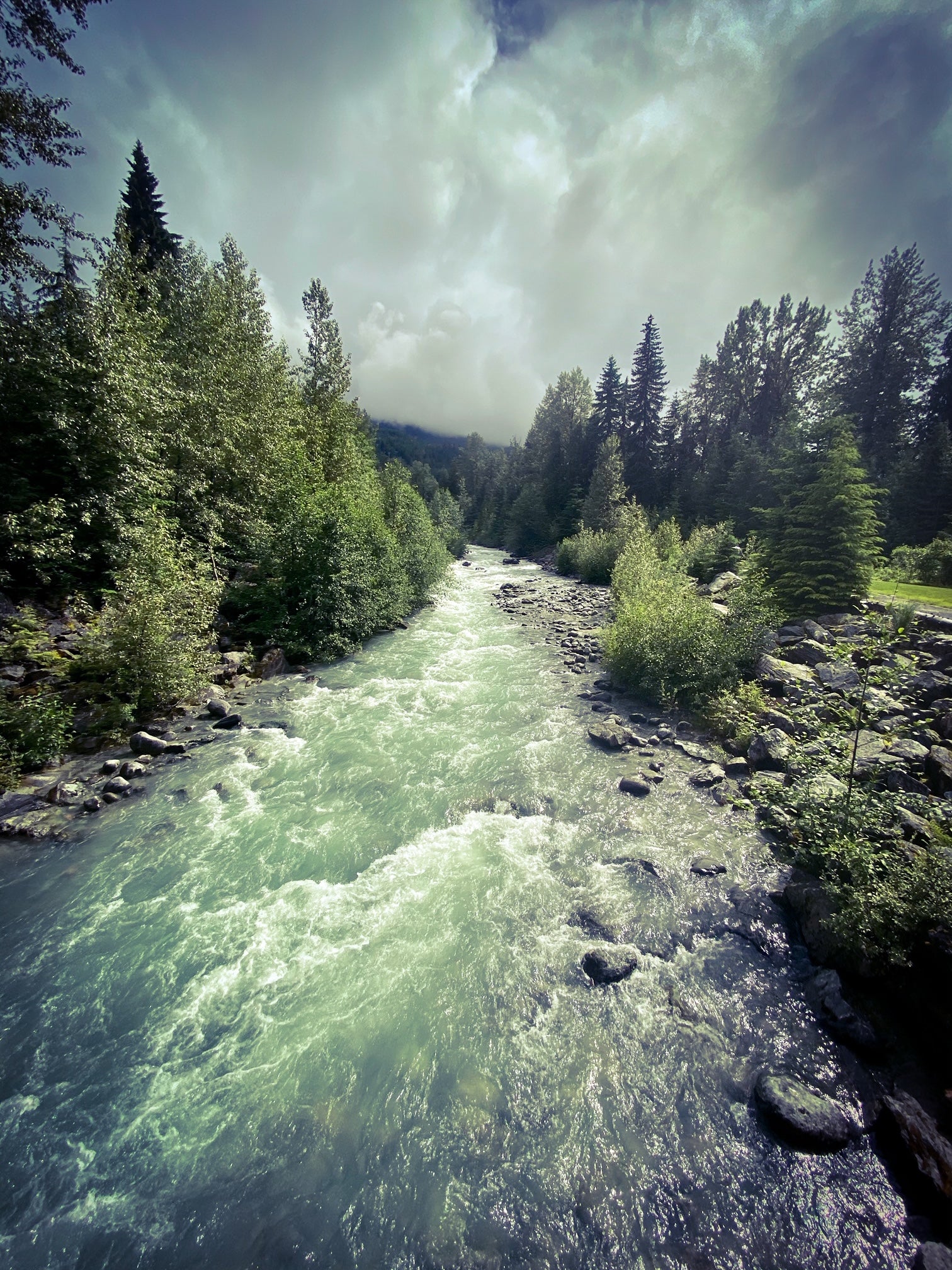 Photo by Sue Jackson